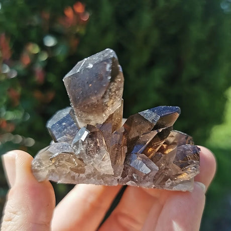 Smoky quartz crystal cluster held in a hand with a blurred green background