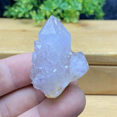 Clear crystal held in a hand with a blurred green plant background