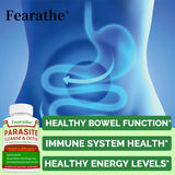 Advertisement for Fearathe parasite cleanse and detox supplement with a blue anatomical illustration of the gut.