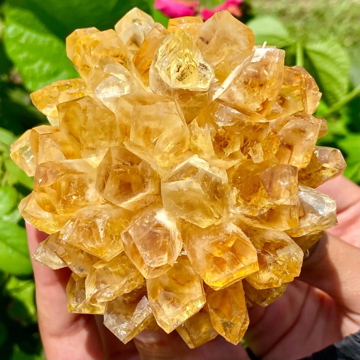Hand holding a large yellow crystal cluster with a natural green background