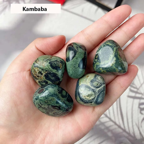 Hand holding kambaba stones with a blurred background