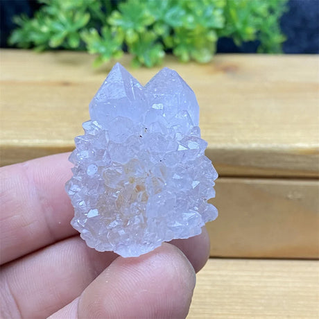 Crystal rock held in a hand with a wooden surface and greenery in the background