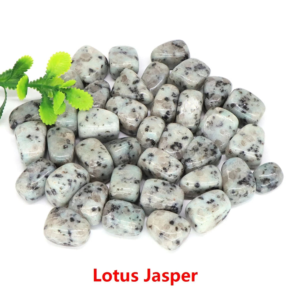 Lotus Jasper stones with a small green plant on a white background