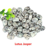Lotus Jasper stones with a small green plant on a white background