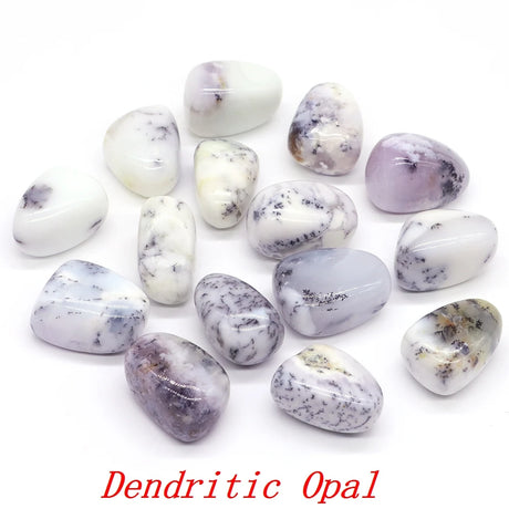 Collection of dendritic opal stones on a white background with 'Dendritic Opal' text.