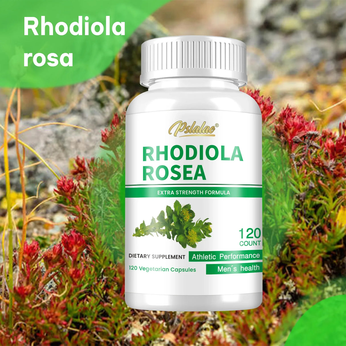 Bottle of Rhodiola Rosea supplement with natural background