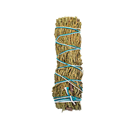 Bundled sage with twine on a white background
