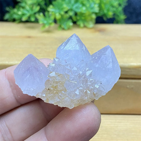 Crystal cluster held in a hand with a blurred green plant in the background