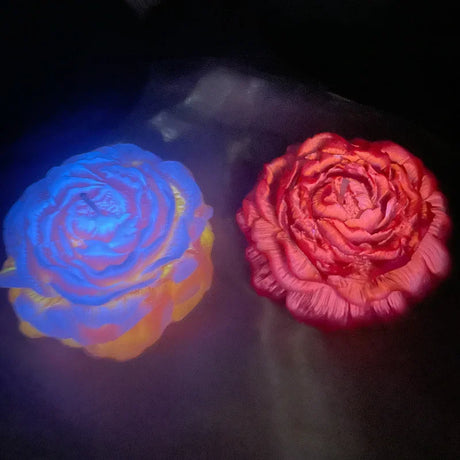 Two glowing roses, one blue and one red, on a dark background.
