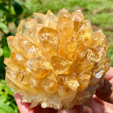 Large yellow crystal cluster held in hands with a natural background