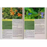 Open book with pages showing images of flowers and text