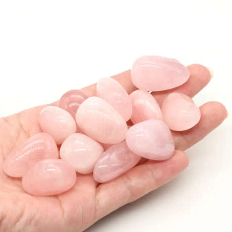 Hand holding pink stones against a white background