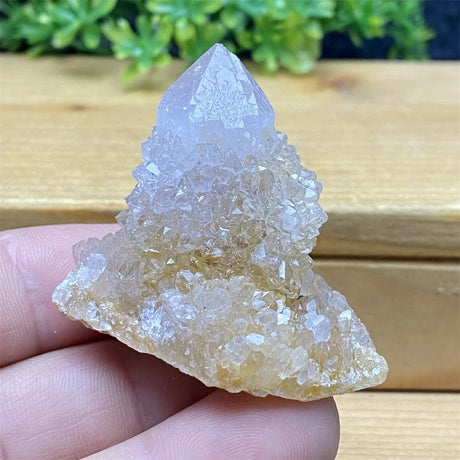 Crystal rock held in a hand with a wooden surface and greenery in the background