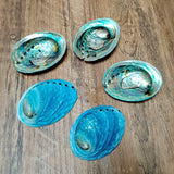 Set of five blue abalone shells on a wooden surface