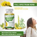Bottle of Mullein leaf capsules with botanical illustrations and a woman relaxing, on a light gray background.