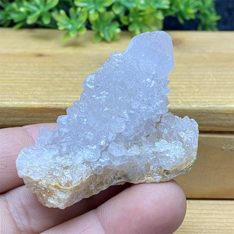 Crystal rock held in a hand with a wooden surface and greenery in the background