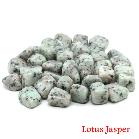 Lotus Jasper stones on a white background with 'Lotus Jasper' text.
