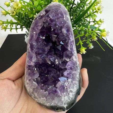 Amethyst crystal geode held in a hand with greenery in the background