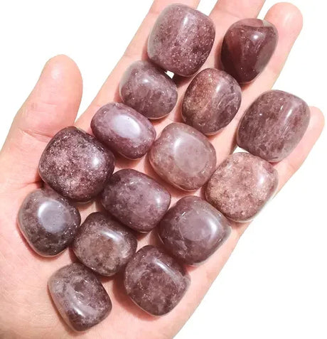 Hand holding a collection of purple stones against a white background