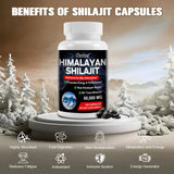 Bottle of Himalayan Shilajit capsules with mountain landscape background