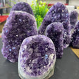 Amethyst geode crystals on a dark surface with blurred greenery in the background