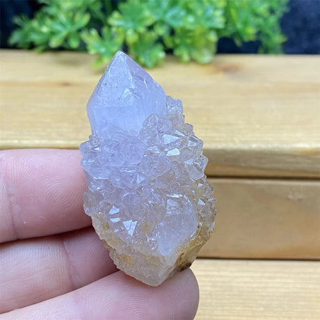 Crystal held between fingers with a wooden surface and greenery in the background
