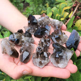 Hand holding a collection of crystal rocks with a natural green background