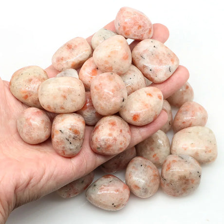 Hand holding a pile of pinkish-orange stones on a white background