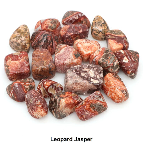 Leopard Jasper stones on a white background