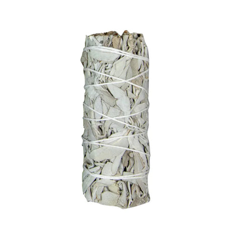 White sage smudge stick wrapped in white string on a white background