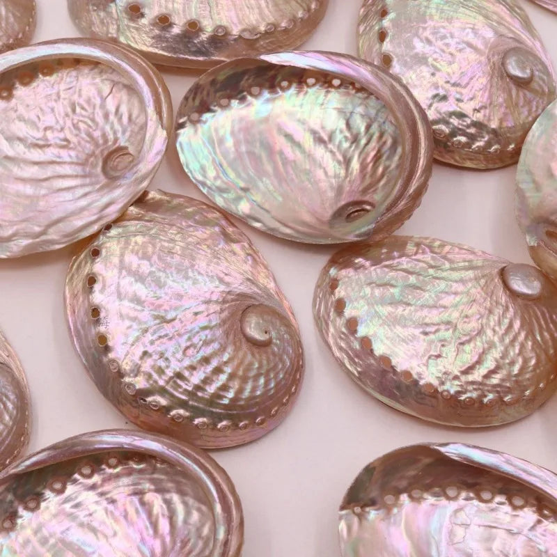 Iridescent shell beads on a light background