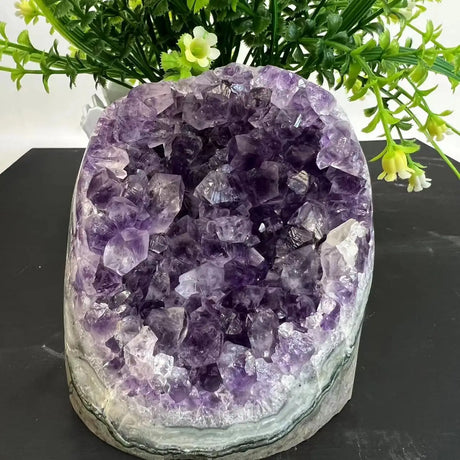 Amethyst crystal geode on a black surface with green plants in the background