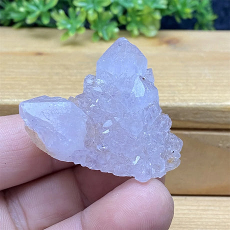Clear crystal cluster held in a hand with a wooden surface and greenery in the background