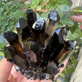Black crystal cluster held in hand with green foliage in the background