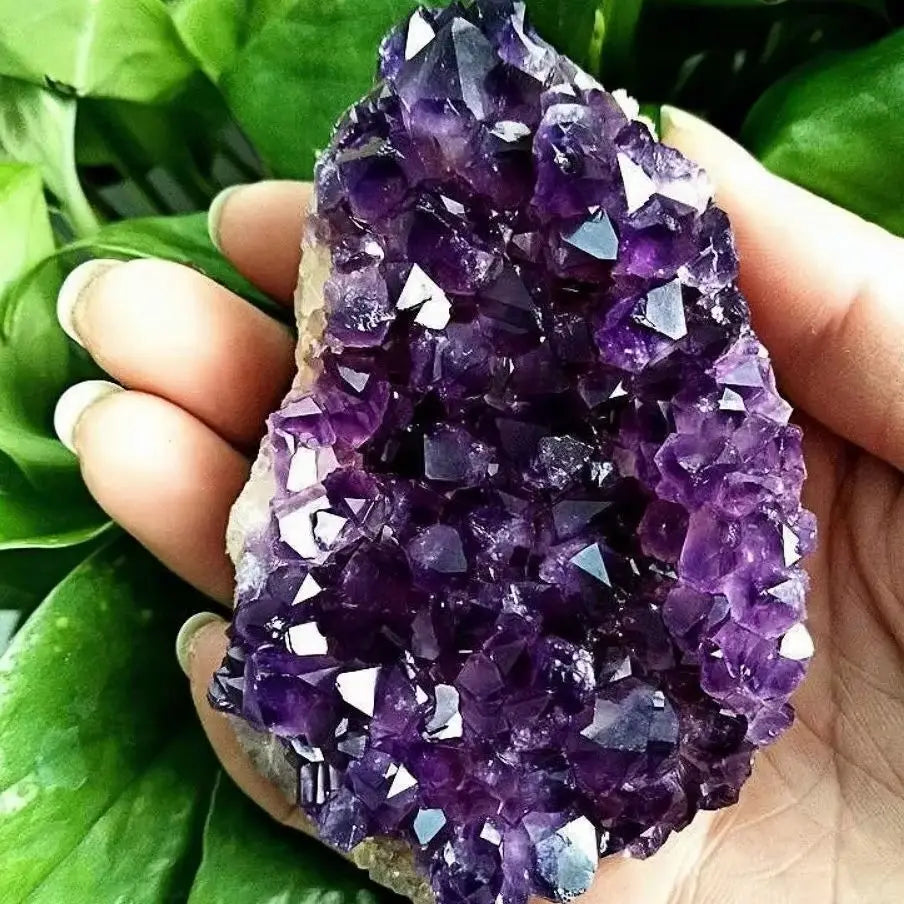 Amethyst crystal cluster held in hand with green leaves in the background
