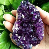 Amethyst crystal cluster held in hand with green leaves in the background