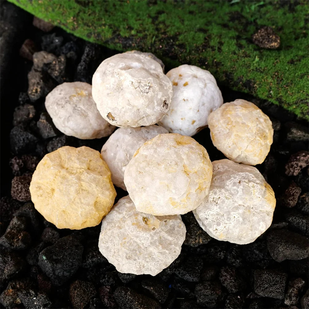 Raw Agate Geode Crystal Cluster Specimen