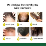 Hair care issues with images and text on a white background