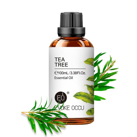 Tea tree essential oil bottle with leaves on a white background, featuring Evoke Occu brand.