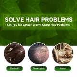 Advertisement for hair care solution with images of dandruff, tinea capitis, and acarus on a green leafy background.
