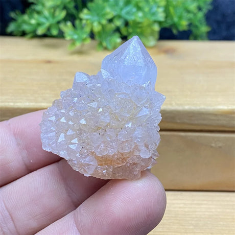 Crystal rock held in a hand with a wooden surface and greenery in the background