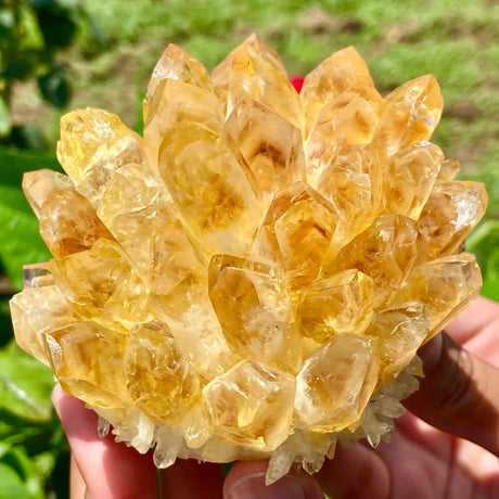 Hand holding a large yellow crystal cluster against a natural background