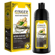 Sevich Ginger Black Hair Shampoo packaging and bottle on a white background