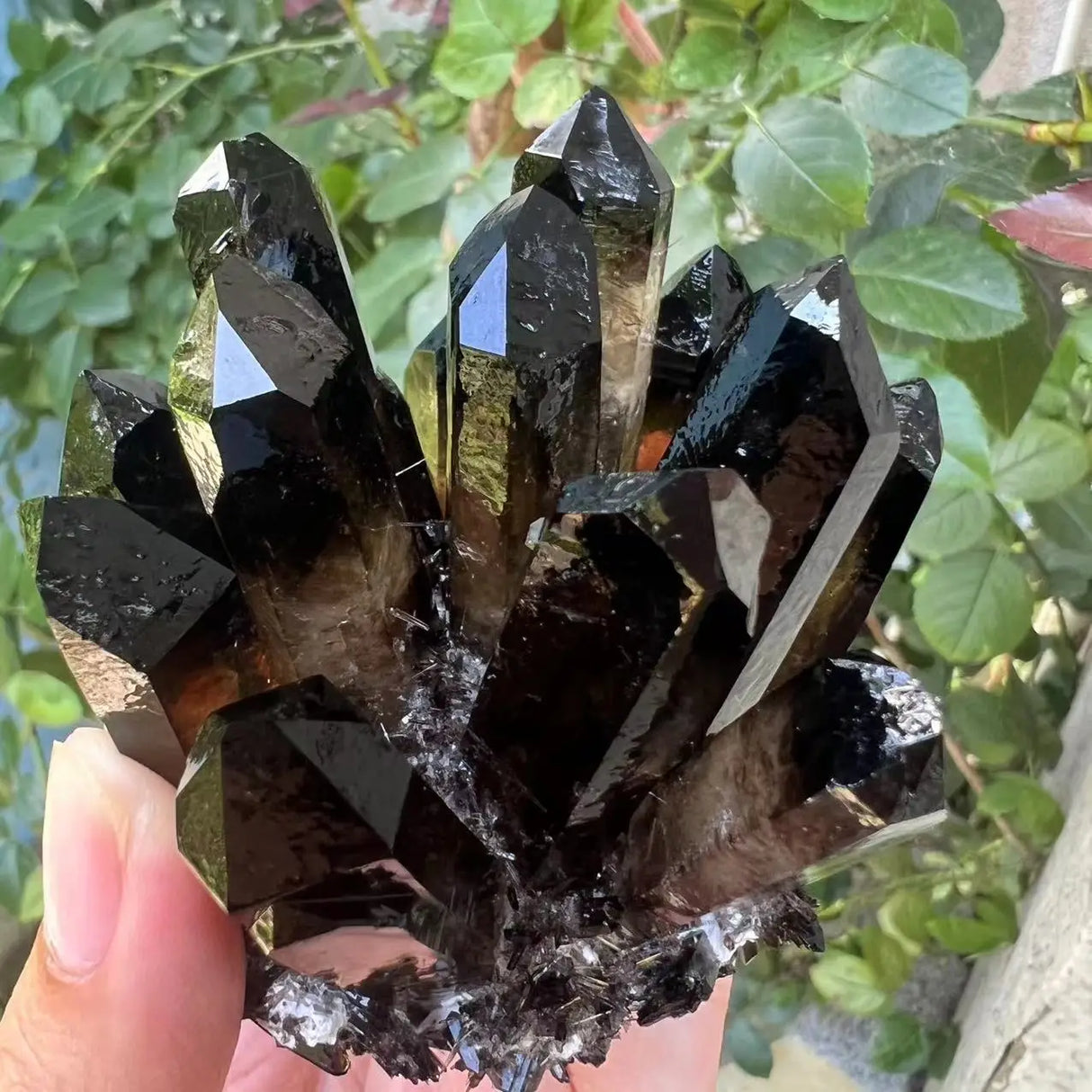 Black crystal cluster held in a hand with a blurred green leafy background