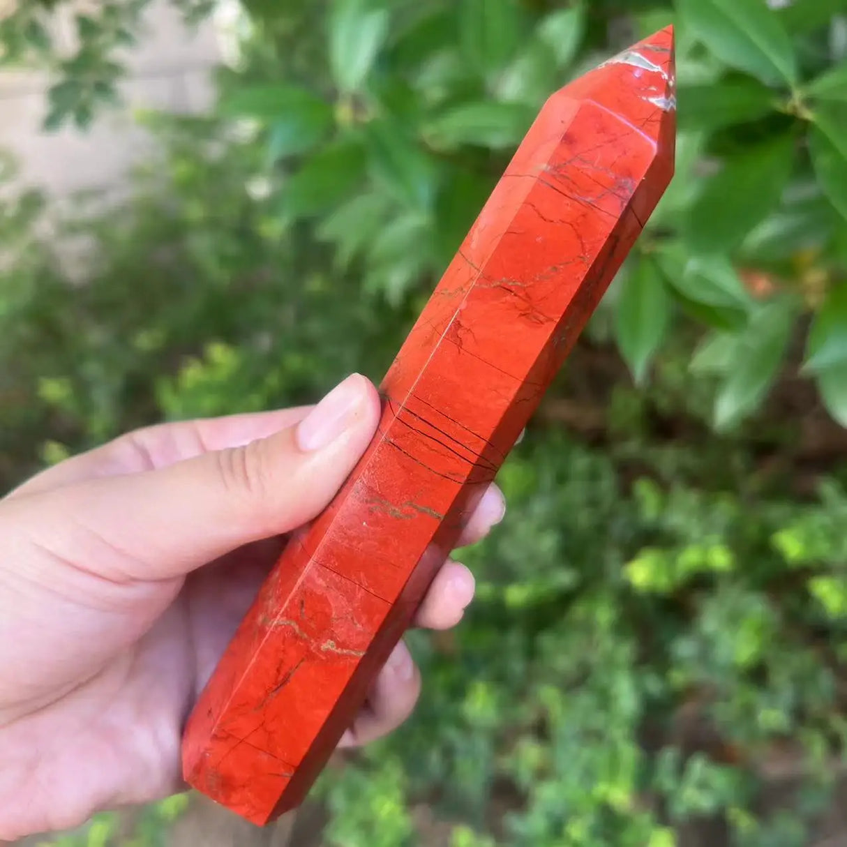Red crystal held by a hand with a blurred green leafy background