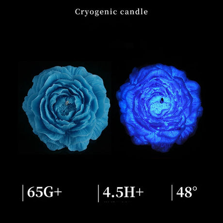 Two blue flowers with glowing effect on a black background, labeled 'Cryogenic candle'.