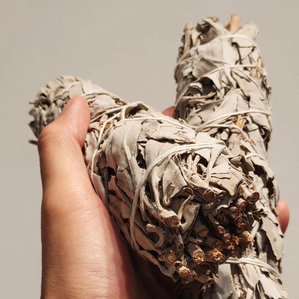 Hand holding two bundles of sage against a neutral background