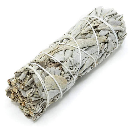 Rolled sage smudge stick tied with white string on a white background