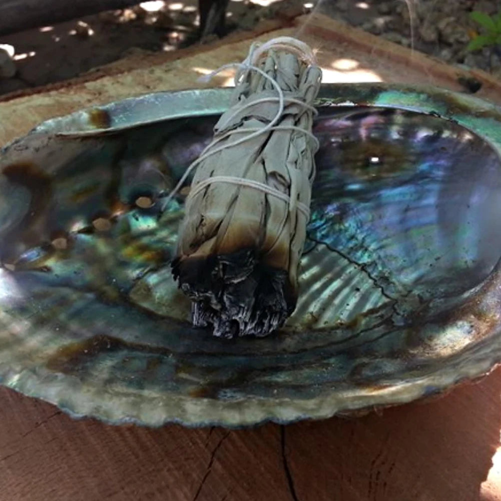 Smoldering sage bundle on a large shell