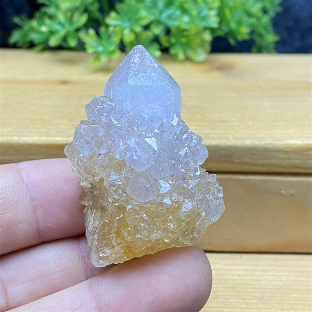 Crystal rock held in a hand with a wooden surface and greenery in the background